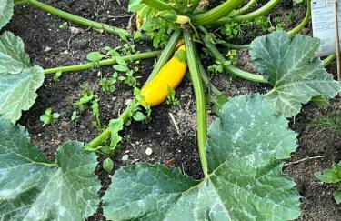 Apartment Wohlfühl-Nest - Foto 10