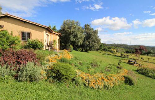 Casa de Vilar de Rei, férias em família com piscina - Foto 76