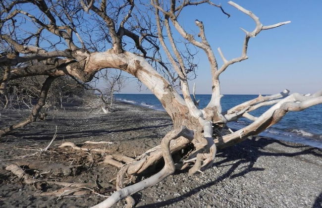 Casavacanze BioMele - Foto 29