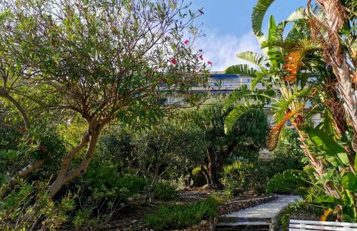 Résidence du Canadel - Foto 17