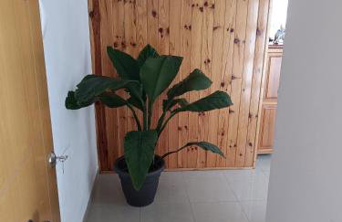 vv Manorosa - Foto 24