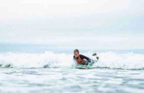 Vue Poneys, 40min Mt St Michel 30min Mer Draps Serviettes Baie Normandie Cottage - Foto 42