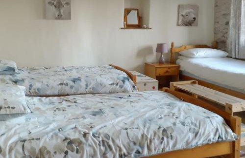 The Shippen - Foto 12