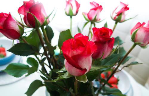 HLA - KING COURT APARTMENT 2 - Foto 10