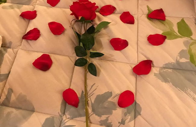 Terra del Sole - Foto 5