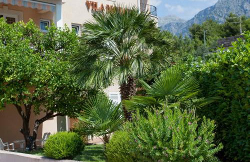 ApartHotel Villa Mozart - Foto 33