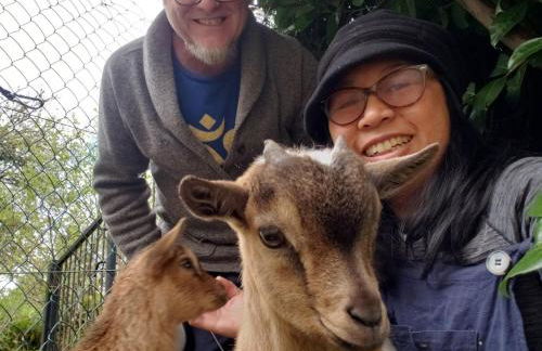 3 Apts Moulin SAGE - Foto 39