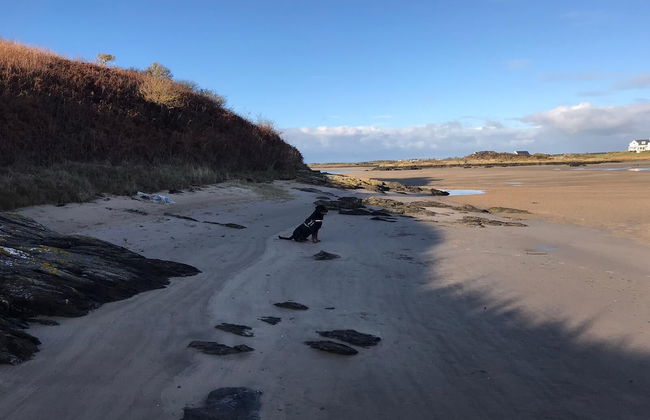 Country Retreat Sleeps 2 Near Cymyran Beach - Foto 30