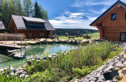 Naturstammhaus und Appartements Zum Brockenbaecker - Foto 1