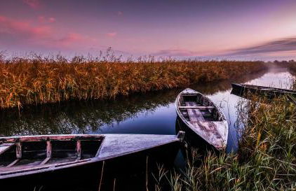 LA CASA DE LA OLIVERA Luxurious house - Foto 69