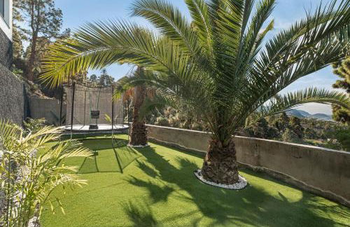 Buena - Vista - Foto 22