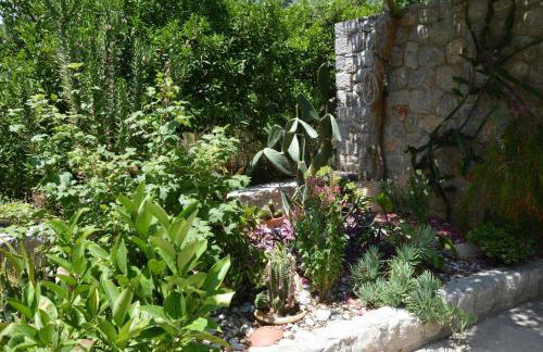 Spiti Portokali - Photo 25