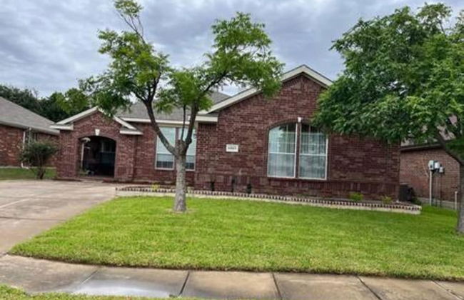 Dream Dust Drive When East Meets West - Foto 2