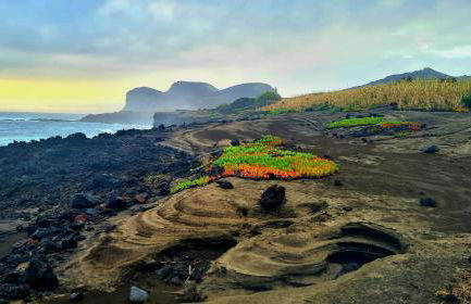 CASITA DA DOCTORA - Foto 51