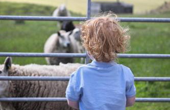 Cowden Farmhouse, near Stonehaven. - Foto 26