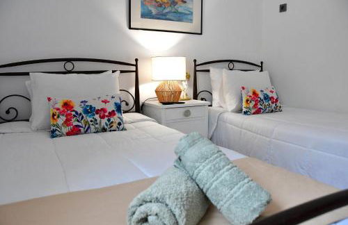 Da Vinci kavouropetra - Foto 5