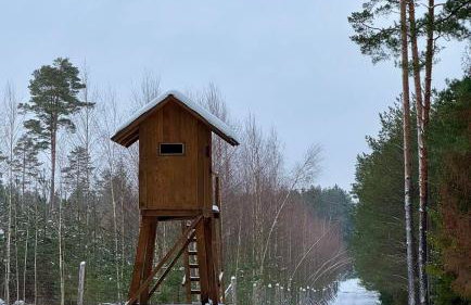 Mazurska Sarenka - Foto 34