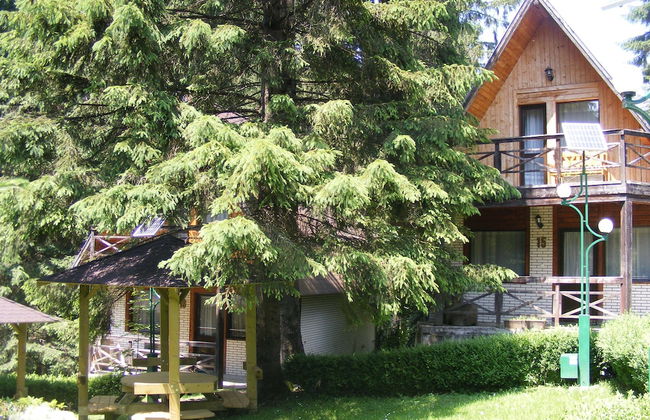 Traveland Butique Resort Poiana Brasov - Foto 18