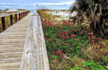 Surfers Paradise: Cozy Home near Hanna Park Poles - Foto 22