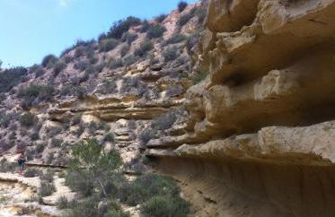 Villa KIP, private pool & jacuzzi surrounded by nature - Foto 30