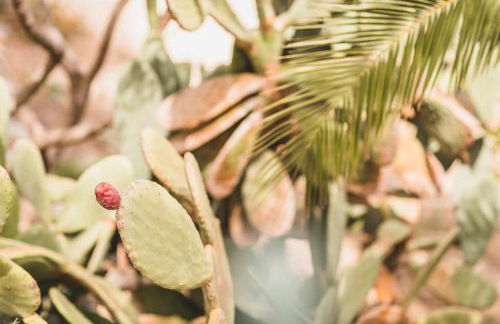 Sa Pedrissa - Foto 7