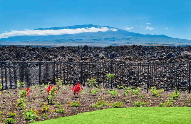 Ainamalu at Waikoloa Beach Resort - Photo 30