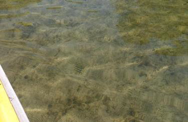 Domki Apartamentowe Chmielówka 2 - Foto 41