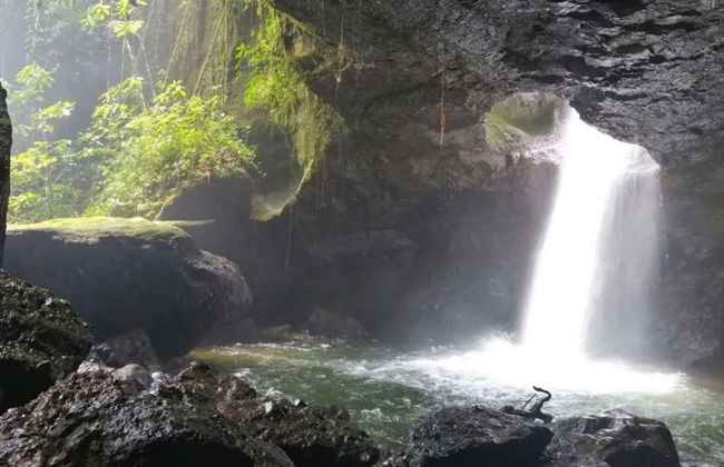 Tour pela Reserva Natural Cueva del Esplendor - Foto 6