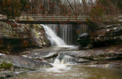Family-Friendly 3BR Home w Bunk Room & Yard - Photo 49