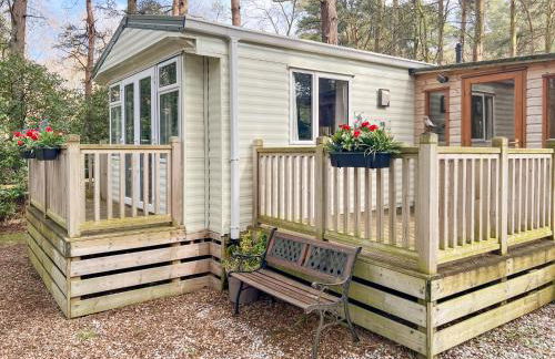 Robin's Retreat - Photo 13