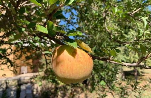 Villa Santa Lucia - Foto 42