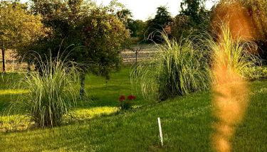 FeWo Schmugglerpatt Werkstatt - Photo 4, Garden, Garden view