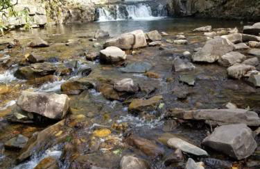 Serenity and Fun all in one in this Cozy Pocono Cabin - Foto 57