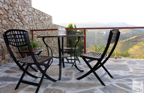 Quinta do Pombal - Douro - Camila's - Foto 19