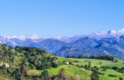 La Casina de Labra - Foto 4