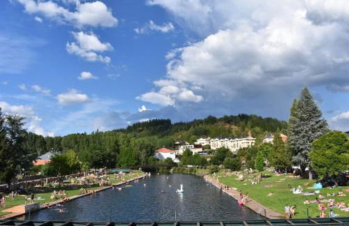 Apartamentos Picea Azul - Foto 5