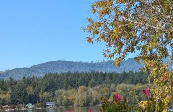 Lux Lakefront Estate, Sandy Beach, Hot Tub, Sauna, Dock, Treehouse & Deck - Foto 18