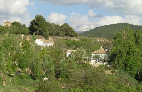 El Granero - Foto 35