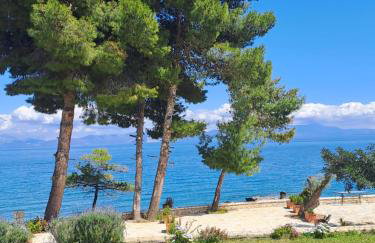 Nama Beach House - Photo 11