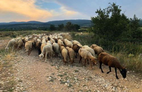 la petite maison - Foto 50