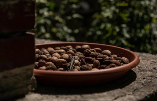 Apartman Silna your new home with terrace and garden - Foto 63