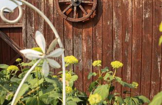 Ferienhaus Blick Falkenstein - Foto 12