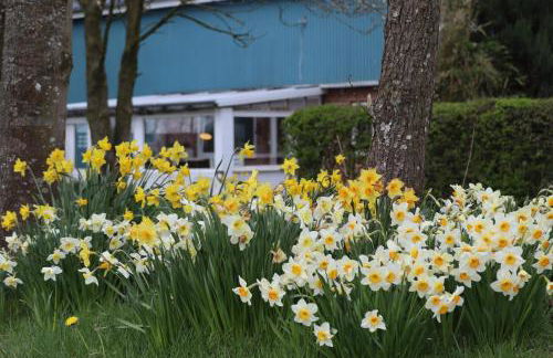 Ferienwohnung Sort Sol Grellsbülldeich 7 - Foto 54