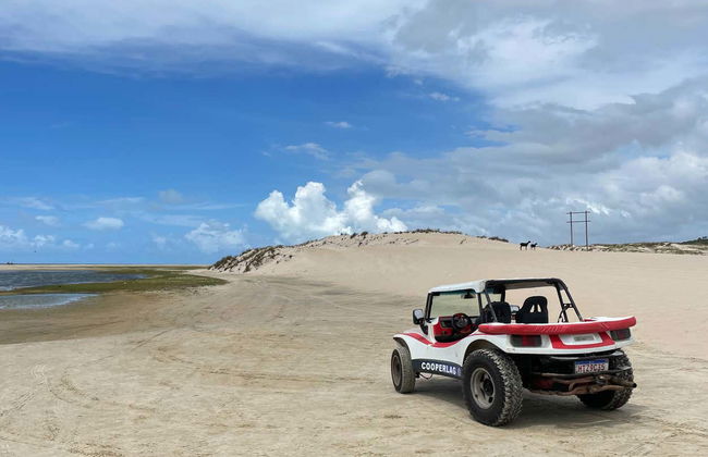 Excursion à la plage de Lagoinha + Balade en buggy - Photo 3