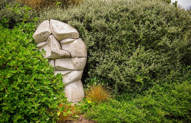 Flaxmill Accommodation - Foto 31