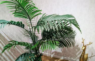 Villa Steinmetz - Whirlpool, Bar & Köln in 20 Min - Foto 17