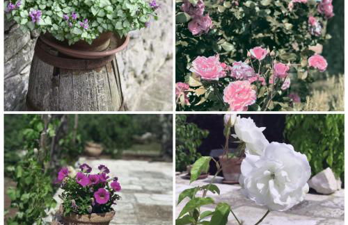 Il Trullo E Il Fortino - Foto 20