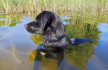 Cicha przystań domek na Kaszubach - Foto 42