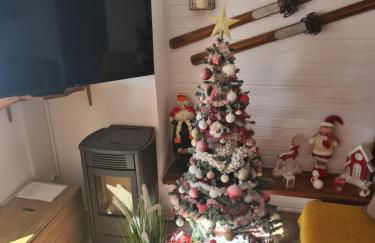 Appartement 8 couchages 45 m2 tout confort à la foux d'allos - Foto 23