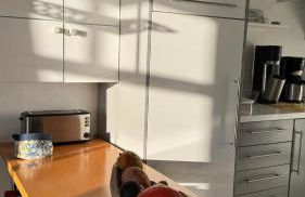 Ich kenne ein Haus am Meer - Foto 13